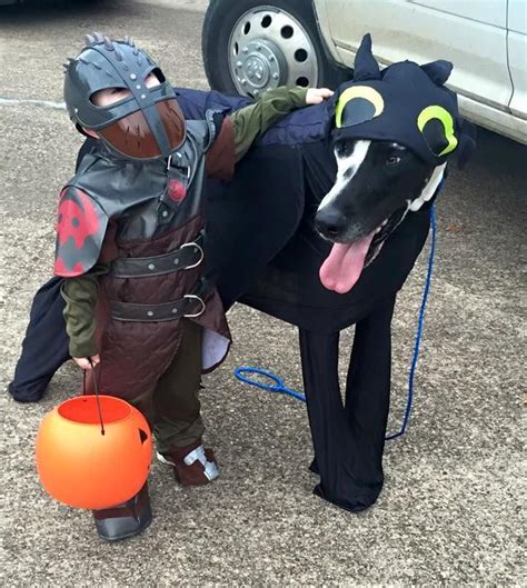 large dog dragon costume|how to train your dragon dog costume.